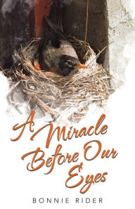 Title: A Miracle before Our Eyes, Author: Bonnie Rider