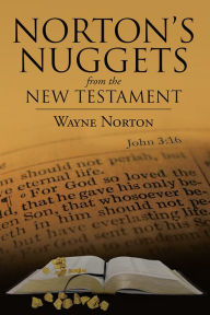 Title: Norton's Nuggets from the New Testament, Author: Wayne Norton