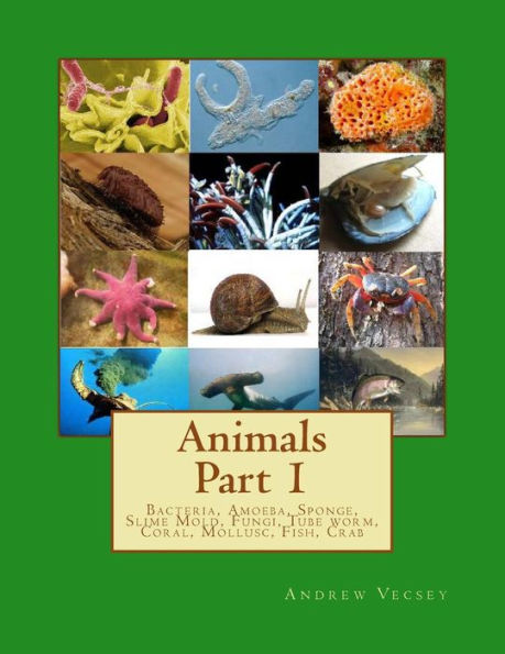 Animals Part 1: Bacteria, Amoeba, Sponge, Slime Mold, Fungi, Tube worm ...