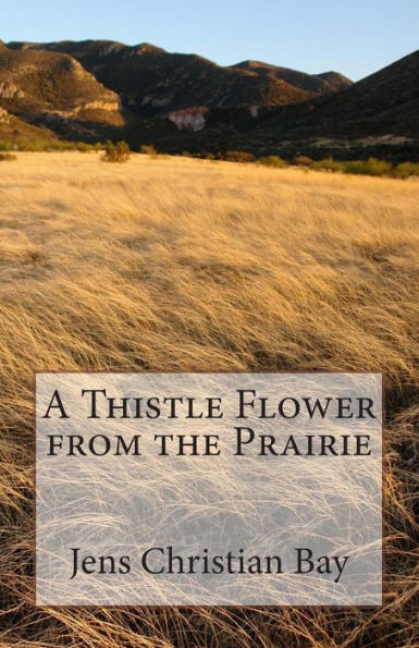 A Thistle Flower from the Prairie