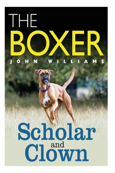 The Boxer Scholar And Clown