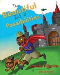 Title: The Beautiful Book of Possibilities, Author: David North