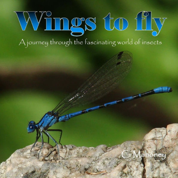 Wings to fly: a journey through the fascinating world of insects