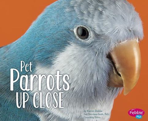 Pet Parrots Up Close