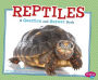 Reptiles: A Question and Answer Book
