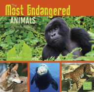 Title: The Most Endangered Animals in the World, Author: Tammy Gagne