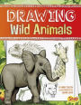 Drawing Wild Animals