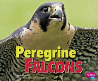 Title: Peregrine Falcons, Author: Melissa Hill