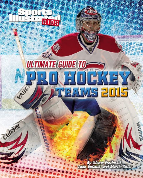 Ultimate Guide to Pro Hockey Teams 2015