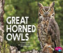 Great Horned Owls