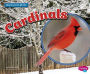 Cardinals