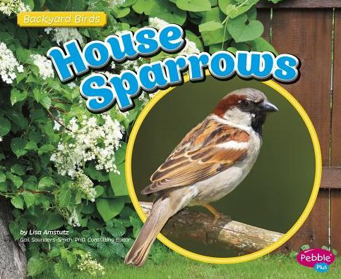 House Sparrows