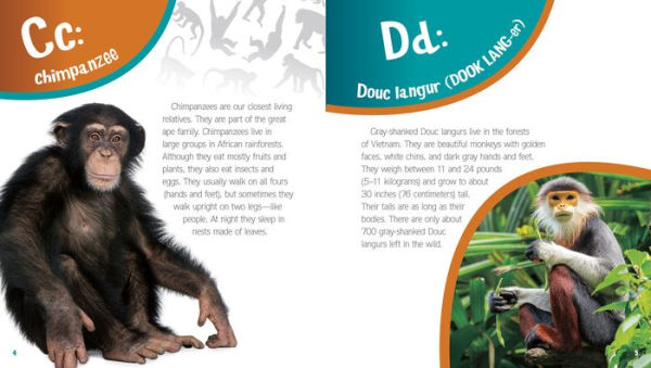 L Is for Lemur: ABCs of Endangered Primates