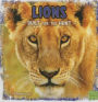 Lions: Built for the Hunt