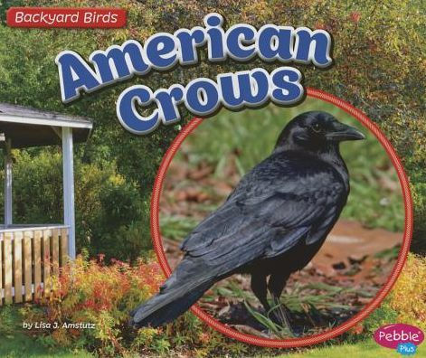 American Crows