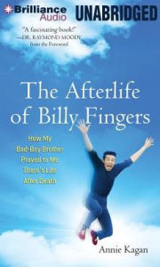 Title: The Afterlife of Billy Fingers: How My Bad-Boy Brother Proved to Me There's Life After Death, Author: Annie Kagan