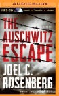 The Auschwitz Escape