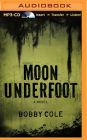 Moon Underfoot