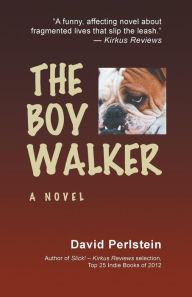Title: The Boy Walker, Author: David Perlstein
