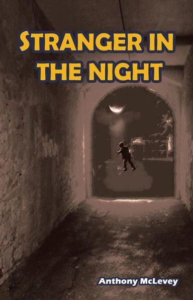 Stranger in the Night