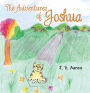 The Adventures of Joshua