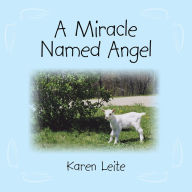 Title: A Miracle Named Angel, Author: Karen Leite