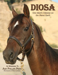 Title: Diosa: One Mare's Odyssey on the Planet Earth, Author: Amy Phillips Penn