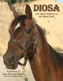 Diosa: One Mare's Odyssey on the Planet Earth