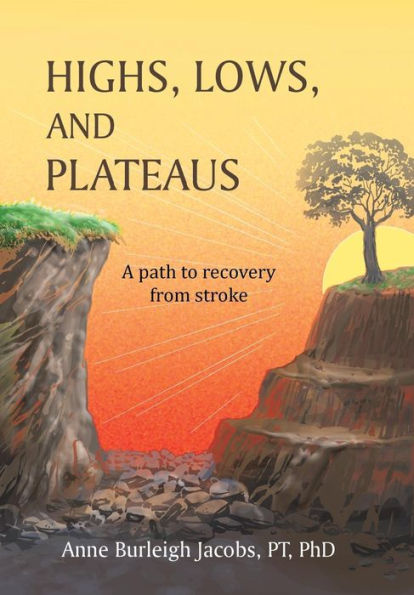 Highs, Lows, and Plateaus: A Path to Recovery from Stroke