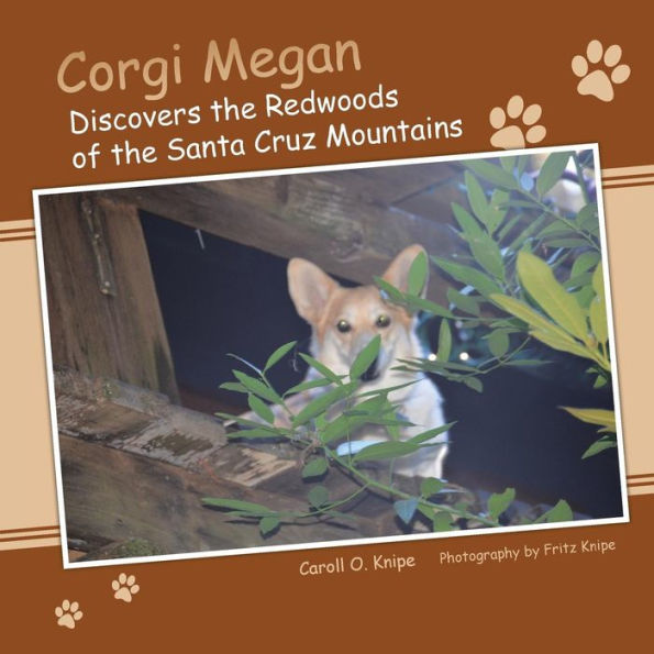 Corgi Megan Discovers the Redwoods of Santa Cruz Mountains