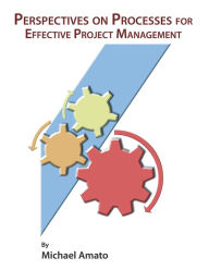 Title: Perspectives on Processes for Effective Project Management, Author: Michael Amato