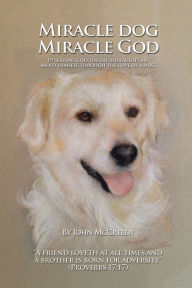 Title: Miracle Dog Miracle God: What God the Father taught me about Himself through the love of a dog, Author: John McCreedy