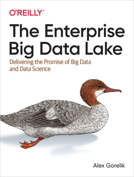 The Enterprise Big Data Lake: Delivering the Promise of Big Data and Data Science