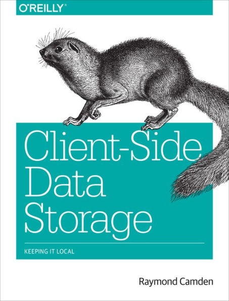 Client-Side Data Storage: Keeping It Local / Edition 1