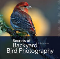 Title: Secrets of Backyard Bird Photography, Author: J. Chris Hansen