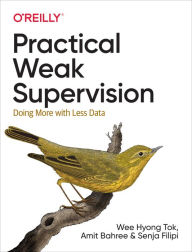 Title: Practical Weak Supervision, Author: Wee Hyong Tok