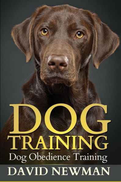 Dog Training: Dog Obedience Training