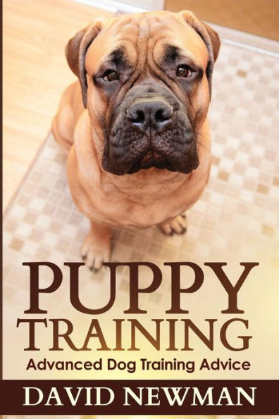 Puppy Training: Advanced Dog Training Advice