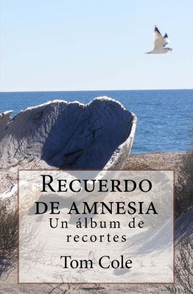 Recuerdo de amnesia: Un album de recortes