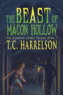 The Beast of Macon Hollow: Book 1 of The Guardian Stones Trilogy
