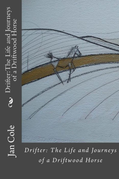 Drifter: The Life and Journeys of a Driftwood Horse: Drifter follows ancient trackways across south west England.