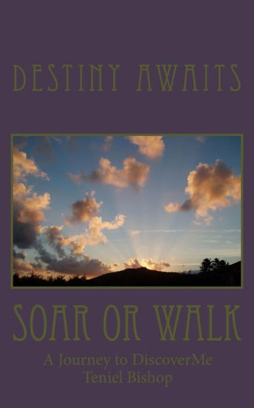 Soar or Walk: DiscoverMe