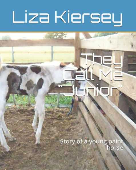 They Call Me Junior: Story of a young paint horse