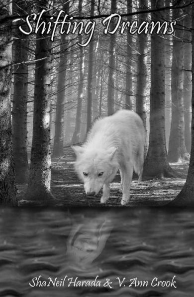 Shifting Dreams
