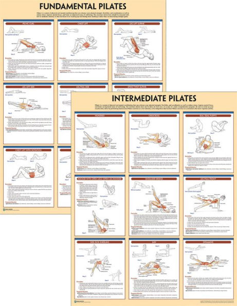 Pilates Anatomy Poster Series