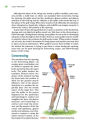 Alternative view 3 of Golf Anatomy