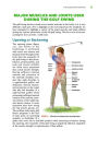 Alternative view 4 of Golf Anatomy