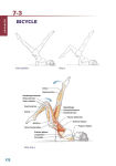 Alternative view 4 of Pilates Anatomy