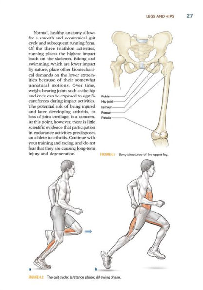 Triathlon Anatomy