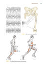 Alternative view 5 of Triathlon Anatomy